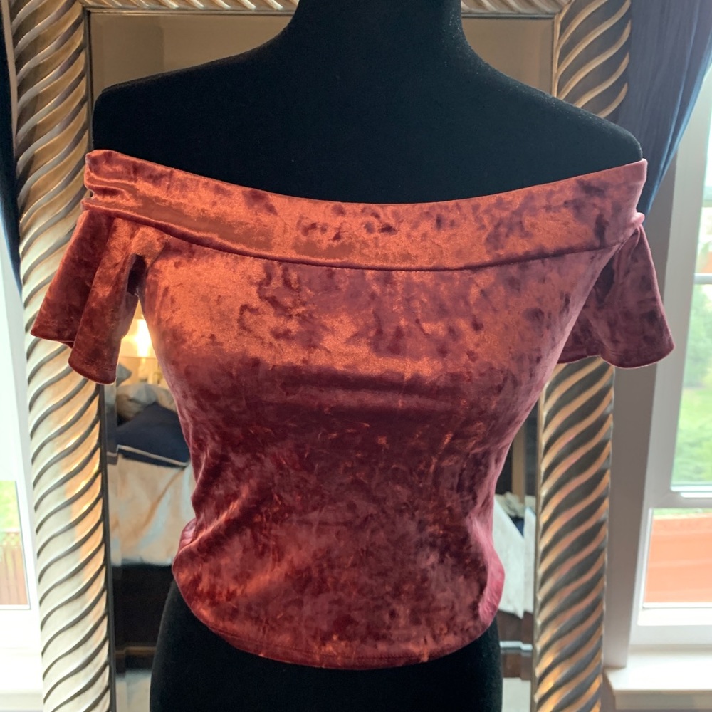 Forever 21 Mauve Crop Top